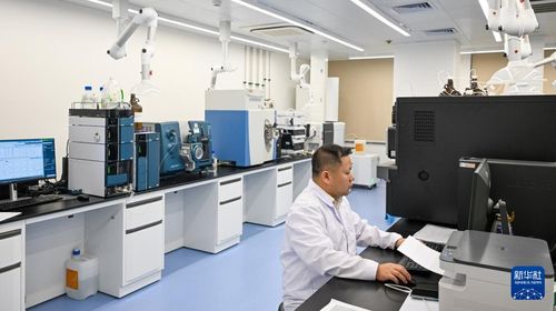 智慧海關助力海南自貿港封關運作平穩有序 技術咨詢與服務的核心作用